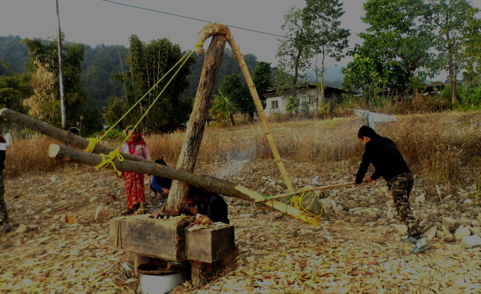 Sugarcane harvest in Pemathang, Samdrup Jongkhar | A Way to Bhutan ...